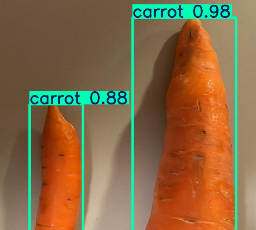 Vegetable and Fruit Detection System